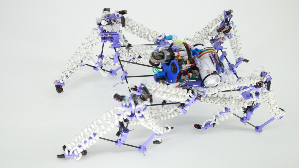 HARP-Driven-quadruped-Robot.jpg