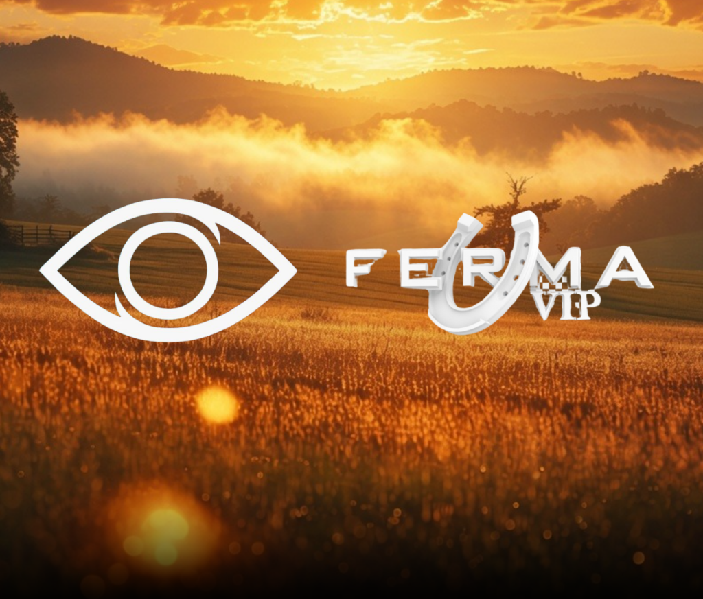 ferma-vip-big-1024×873.png